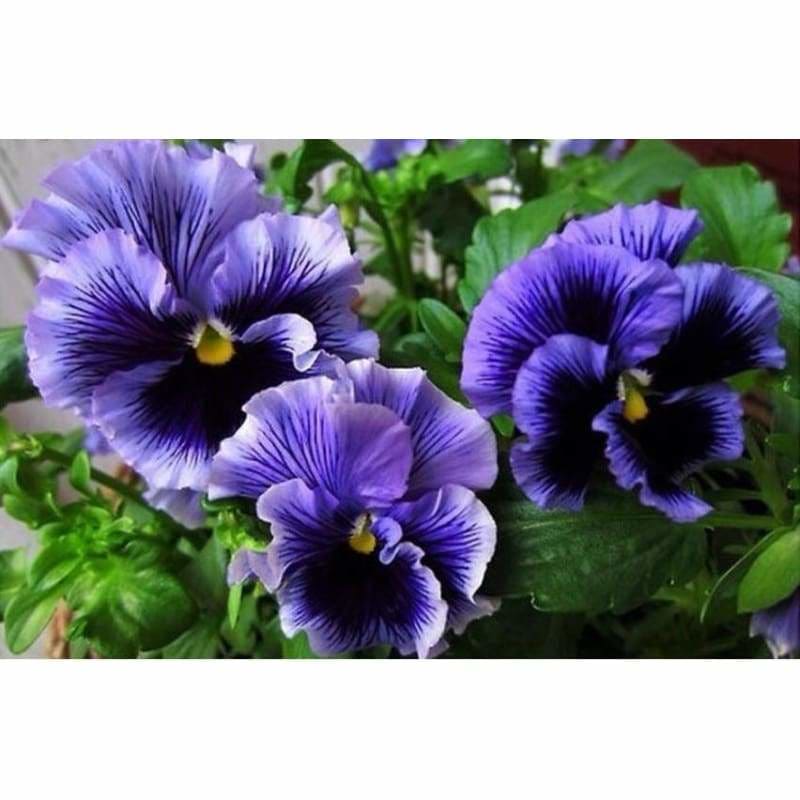 Flower Full Drill - Full Drill - 5D DIY Diamond Painting