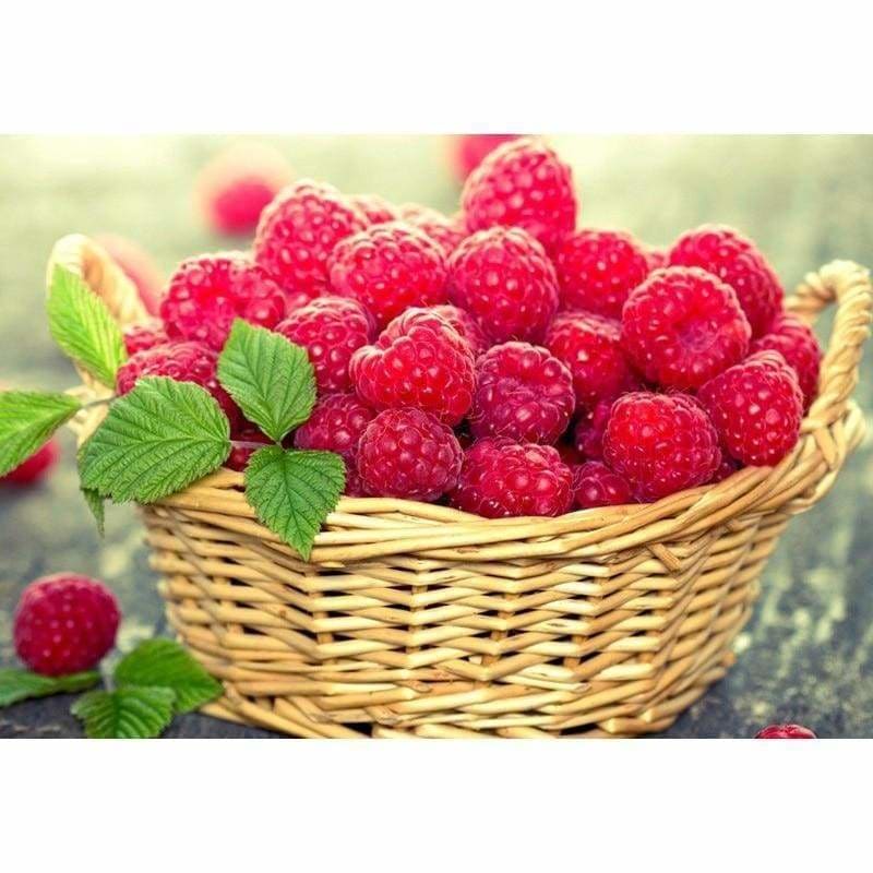 Fruits Strawberry Full Drill - 5D Diy Diamond Painting Kits