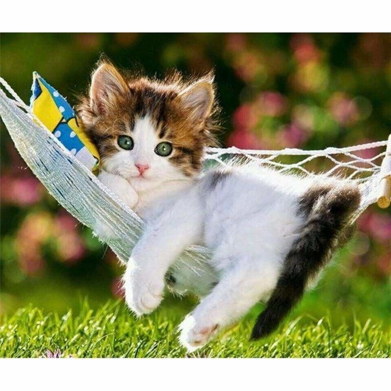 Full Drill - 5D DIY Diamond Painting Kits Animal Lazy Cat -