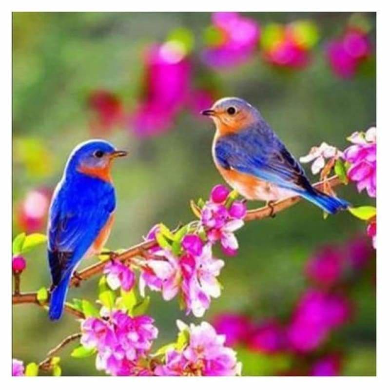 Full Drill - 5D DIY Diamond Painting Kits Beautiful Bird On