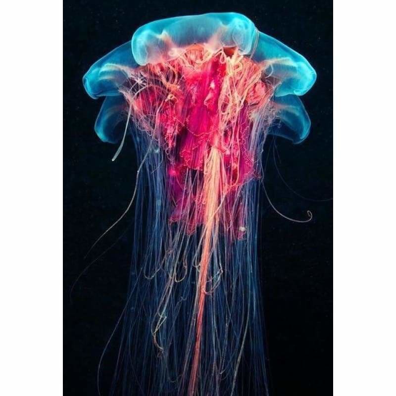 Full Drill - 5D DIY Diamond Painting Kits Beautiful