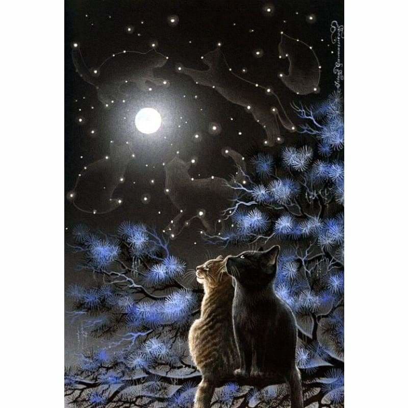 Full Drill - 5D DIY Diamond Painting Kits Dream Moon Starry