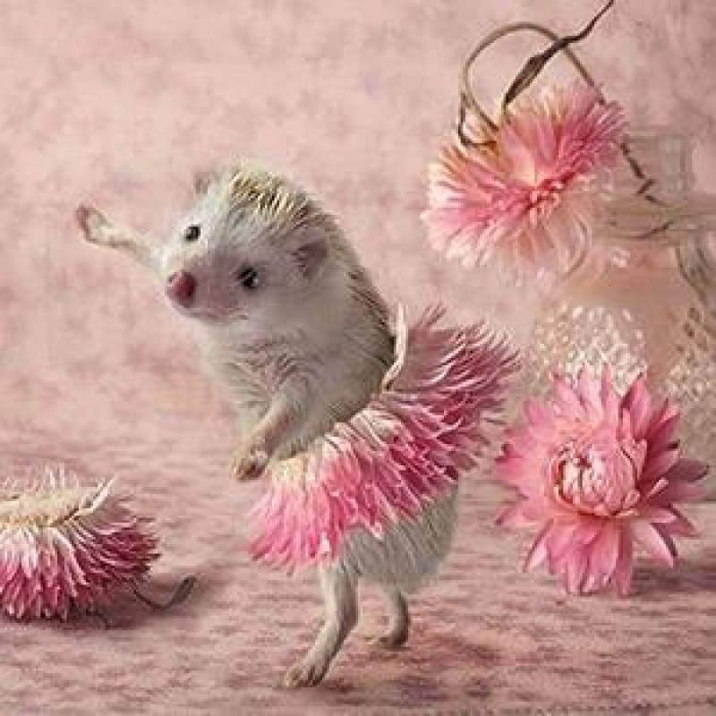 Full Drill - 5D DIY Diamond Painting Kits Funny Cute Pink