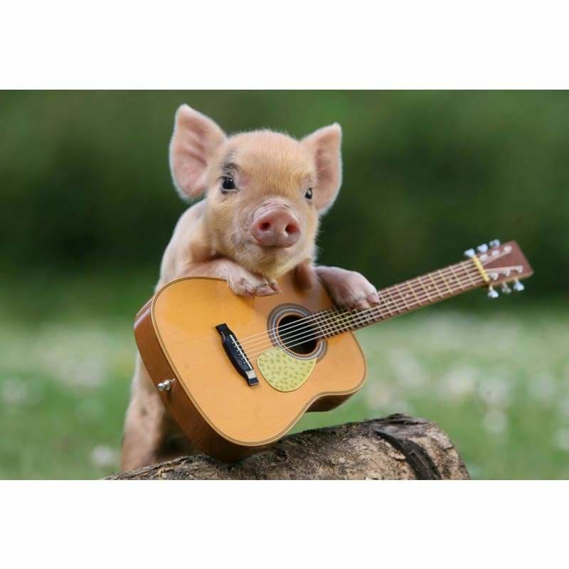 Full Drill - 5D DIY Diamond Painting Kits Funny Pig Baby