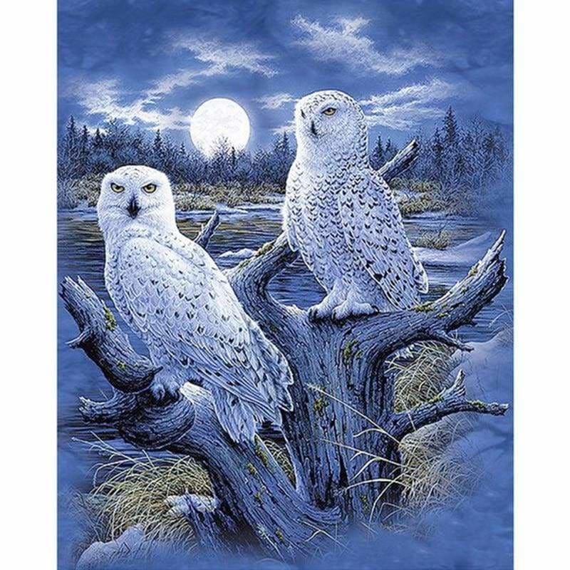 Full Drill - 5D DIY Diamond Painting Kits Winter Moon White