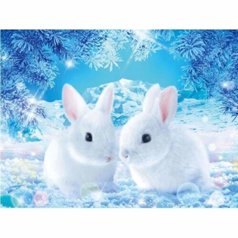 Full Drill - 5D DIY Diamond Painting Kits Winter White
