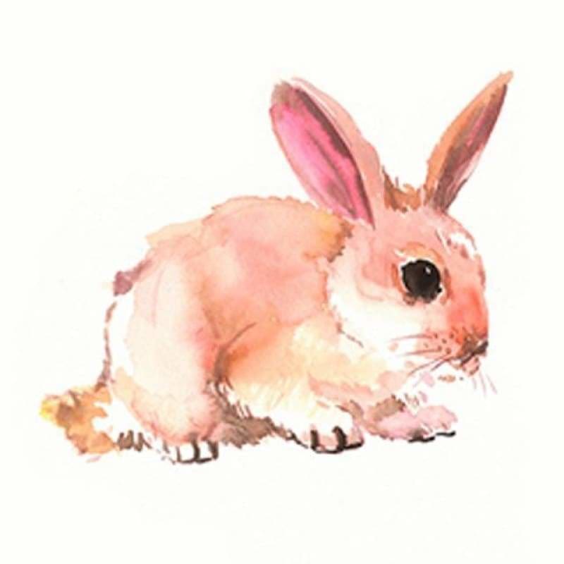 Full Drill - 5D DIY Diamond Painting KitsCartoon Cute Pink