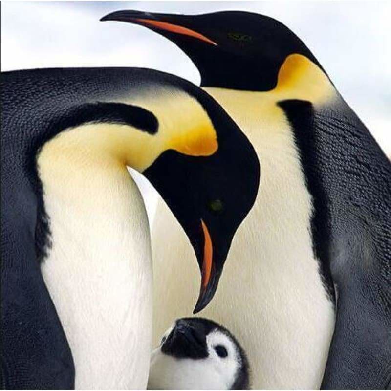 Full Square Drill Penguin Full Drill - 5D Diy Diamond