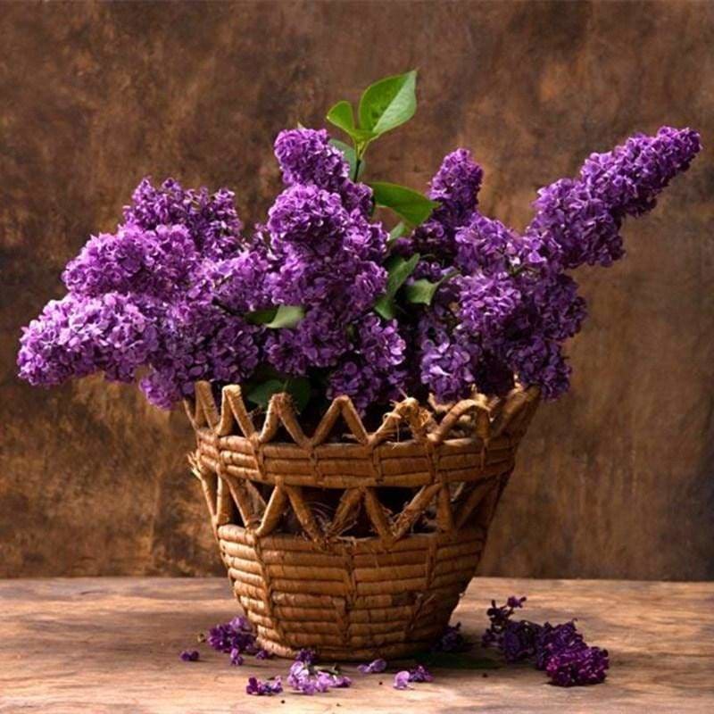 Special Free Shipping Lavender Full Drill - 5D Diy Diamond