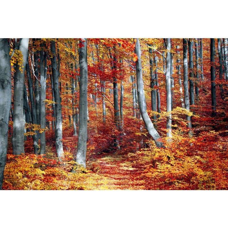 Autumn Forrest - Full Drill Diamond Painting - NEEDLEWORK KITS
