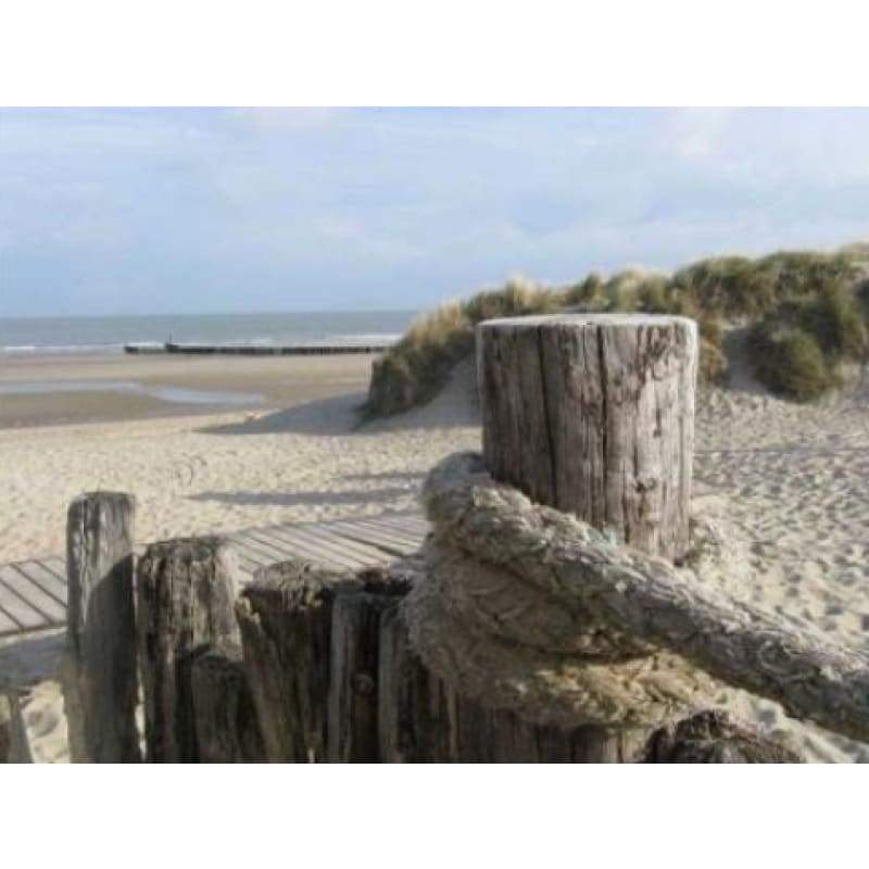 Beach Collection 01 - Full Drill Diamond Painting - Special