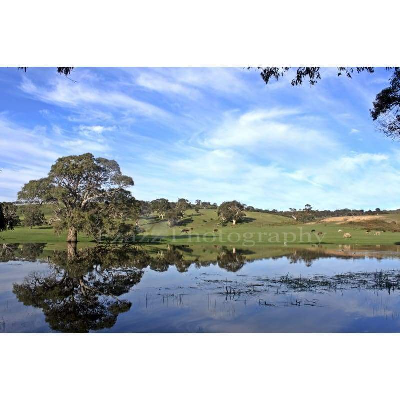 Beautiful Paddock - Full Drill Diamond Painting - NEEDLEWORK KITS