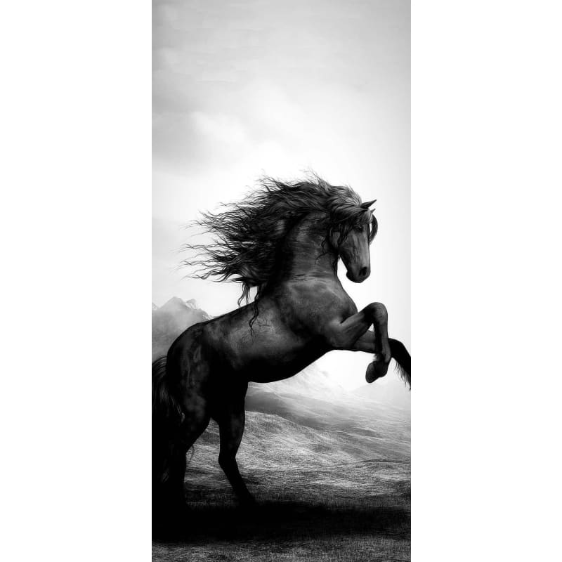 Black Horse 02- Full Drill Diamond Painting - Special Order