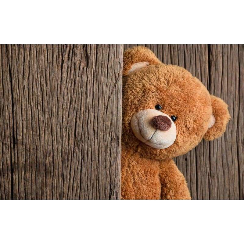 Brown Teddy Bear - Full Drill Diamond Painting - Special