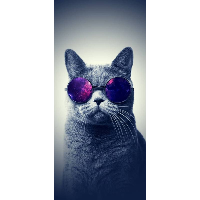 Cool Cat Glasses- Full Drill Diamond Painting - Special