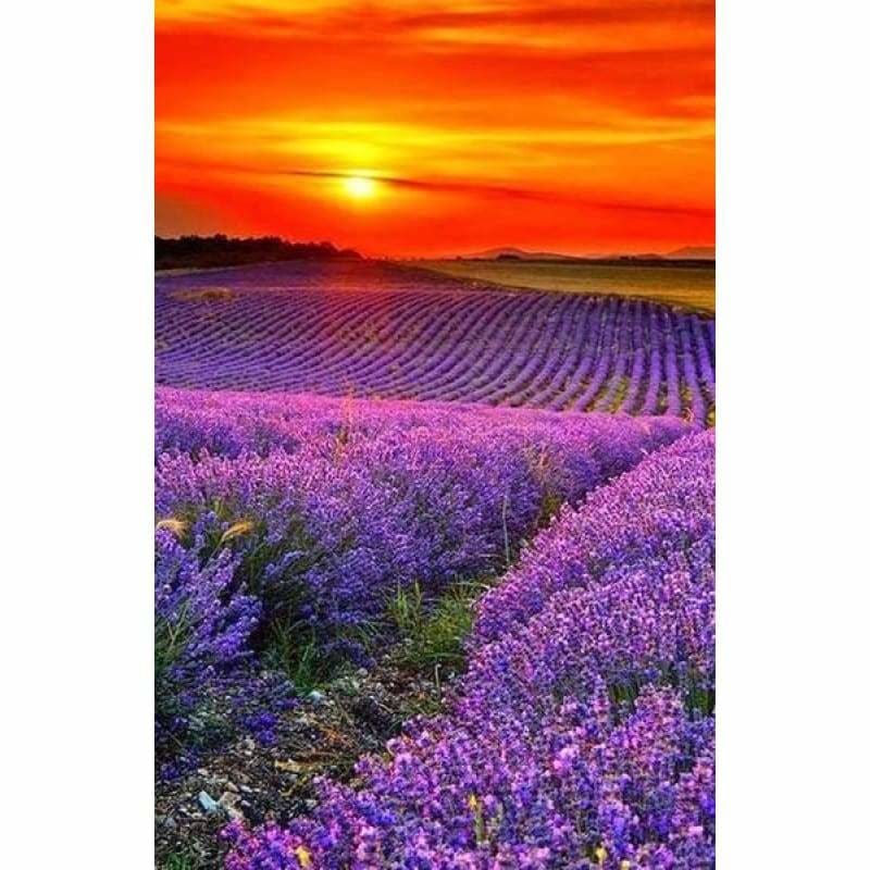 Dream Lavender Fields Full Drill - 5D Diy Diamond Painting