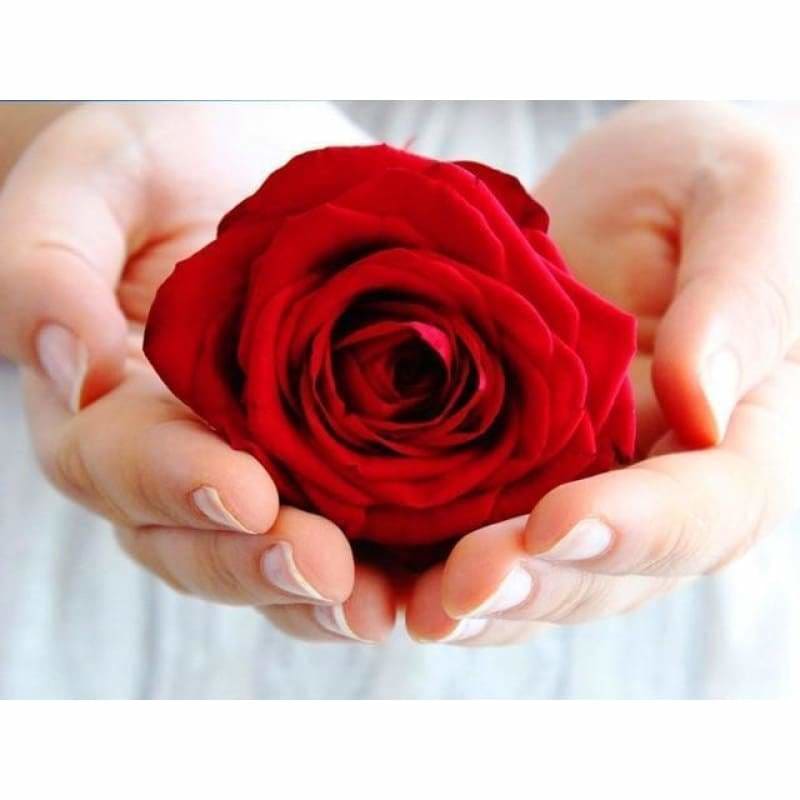 Dream Rew Rose Needlework Full Drill - 5D Diy Diamond