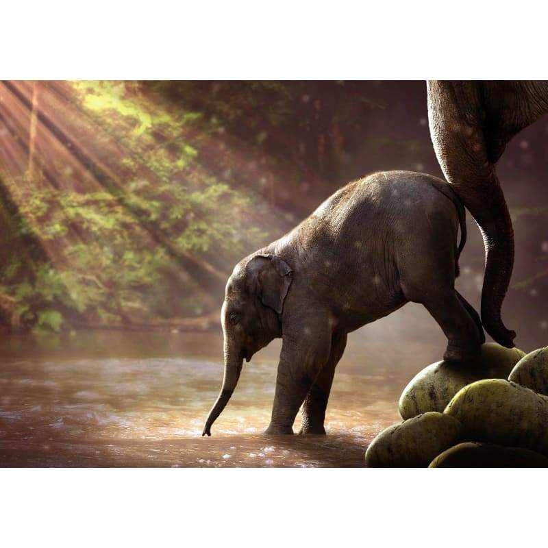 Elephant 3- Full Drill Diamond Painting - Special Order -
