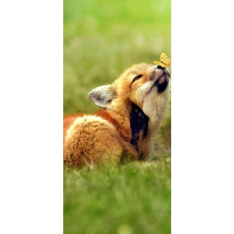 Fox And Butterfly on Nose- Full Drill Diamond Painting -