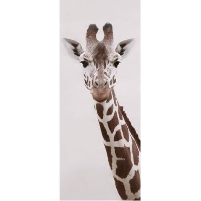 Full Drill - 5D Diamond Painting Kits Animal Cute Giraffe -
