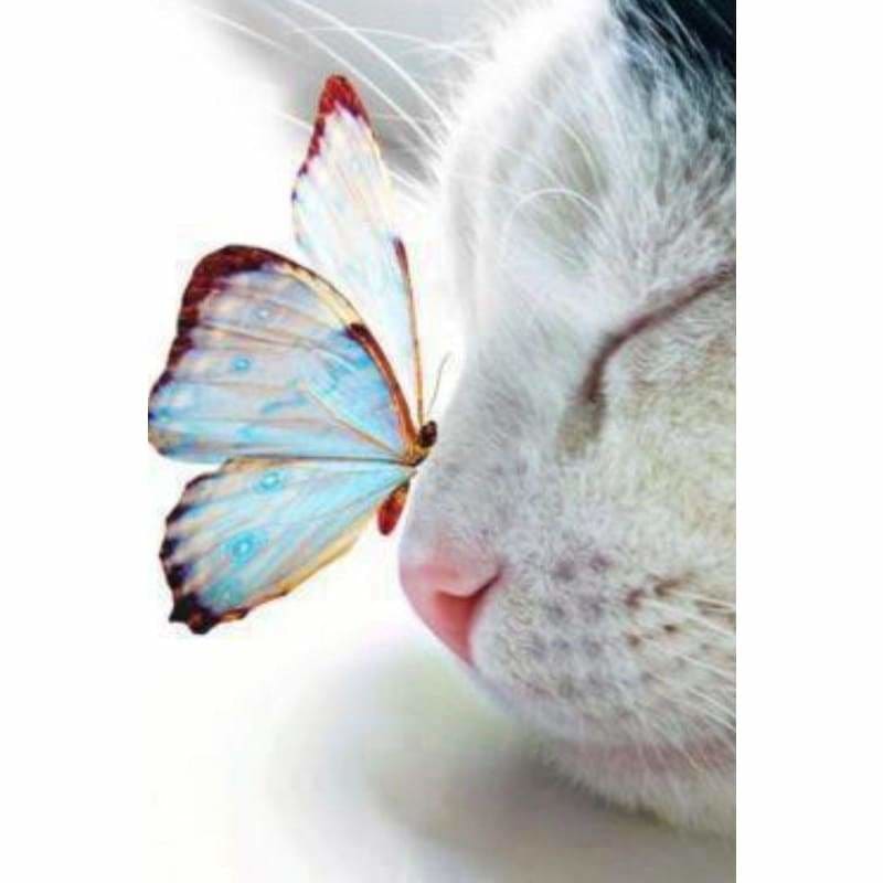 Full Drill - 5D Diy Diamond Painting Cat Diamond Embroidery