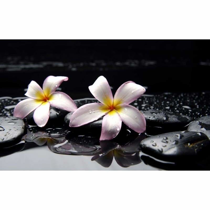 Full Drill - 5D DIY Diamond Painting Kits Beautiful White