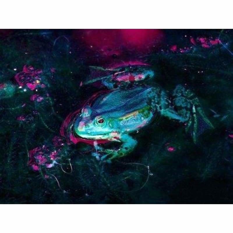 Full Drill - 5D DIY Diamond Painting Kits Colorful Different