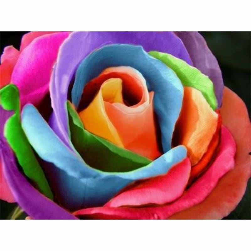 Full Drill - 5D DIY Diamond Painting Kits Colorful Flower -