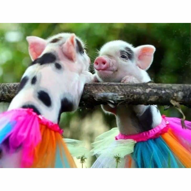 Full Drill - 5D DIY Diamond Painting Kits Cute Pig Baby