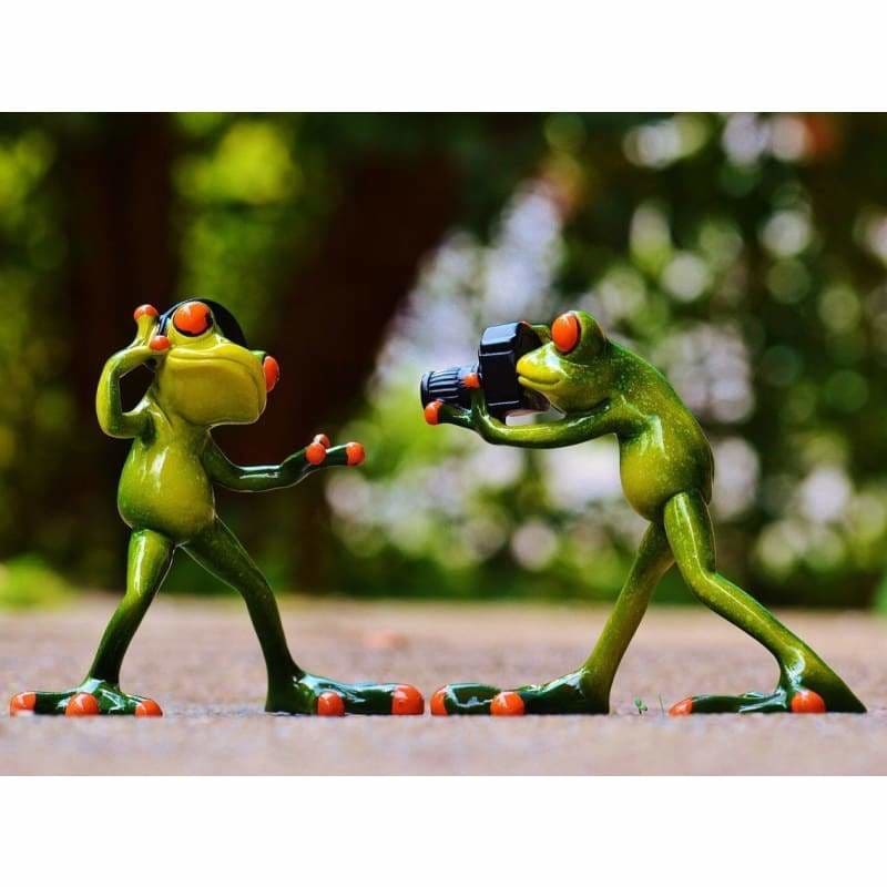 Full Drill - 5D DIY Diamond Painting Kits Funny Photograph