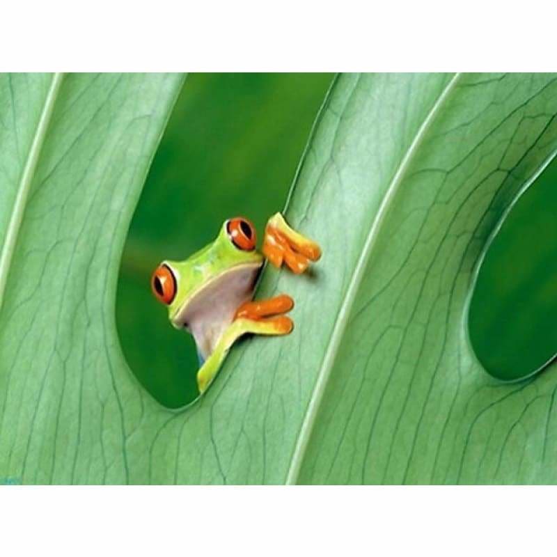 Full Drill - 5D DIY Diamond Painting Kits Green Cute Frog -