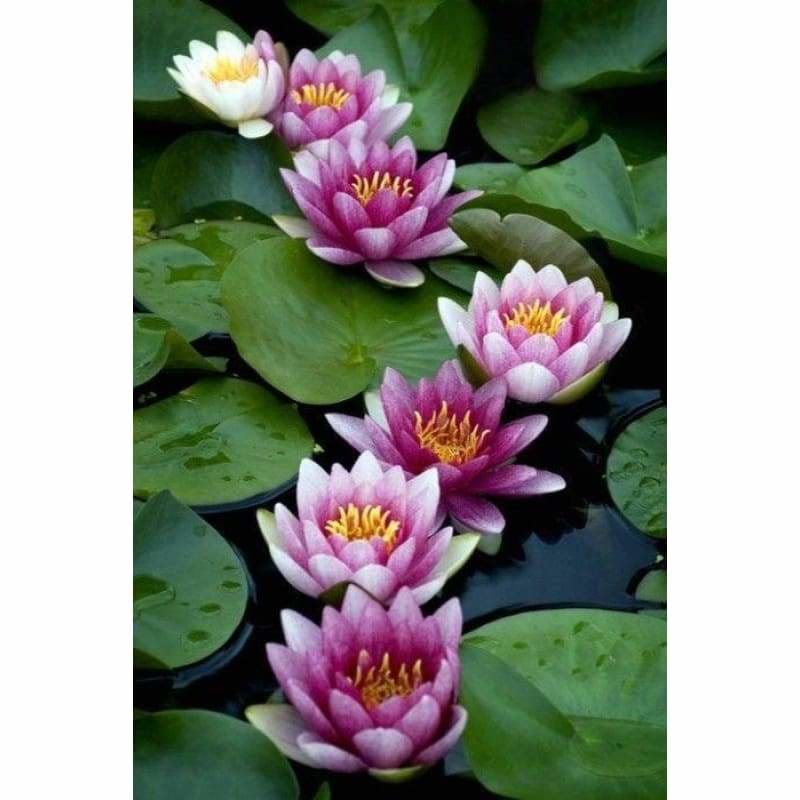 Full Drill - 5D Diy Diamond Painting Kits Lotus Rising