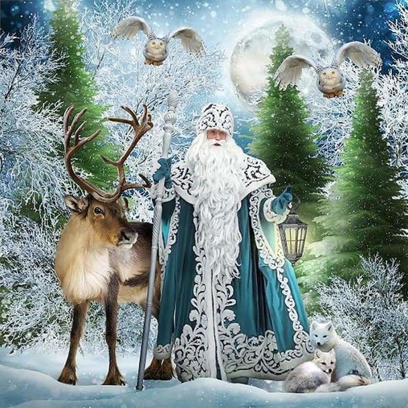 Full Drill - 5D DIY Diamond Painting Kits Special Winter