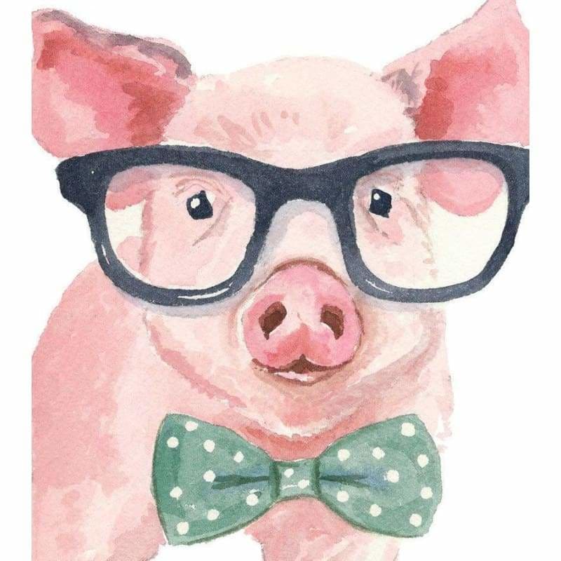 Full Drill - 5D DIY Diamond Painting Kits Watercolor