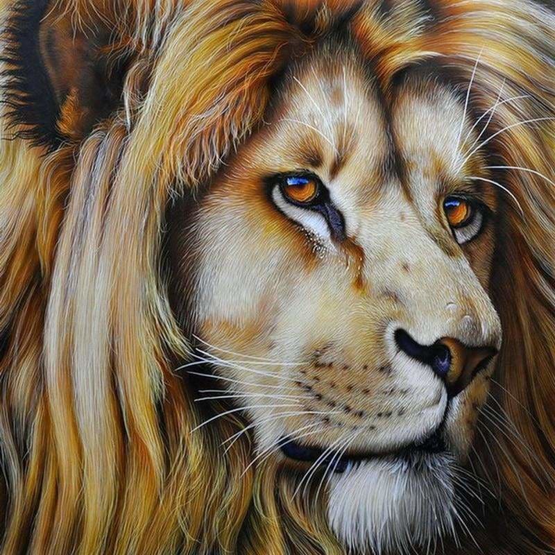Full Drill - 5D DIY Diamond Painting Lion Embroidery Art -