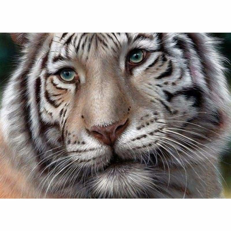 Full Drill - Full Drill - 5D DIY Diamond Painting Tiger