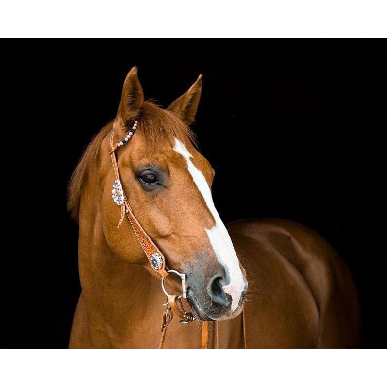 Horse With Black Background- Full Drill Diamond Painting -