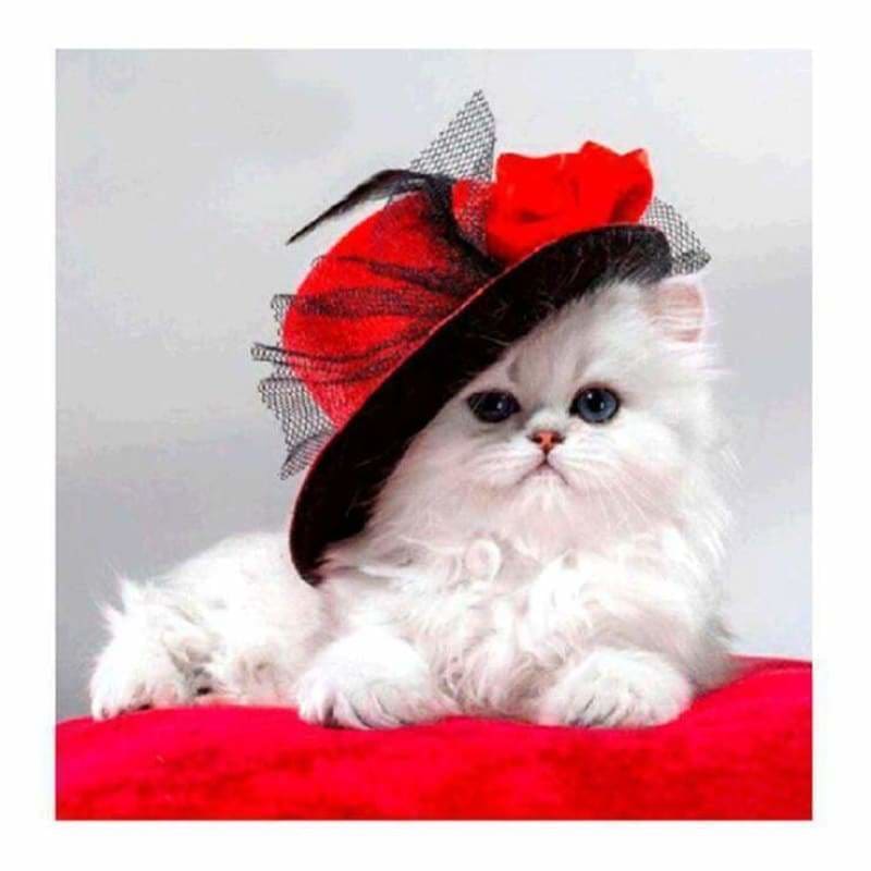 Hot Sale lovely White Cat With Hat Full Drill - 5D Diy