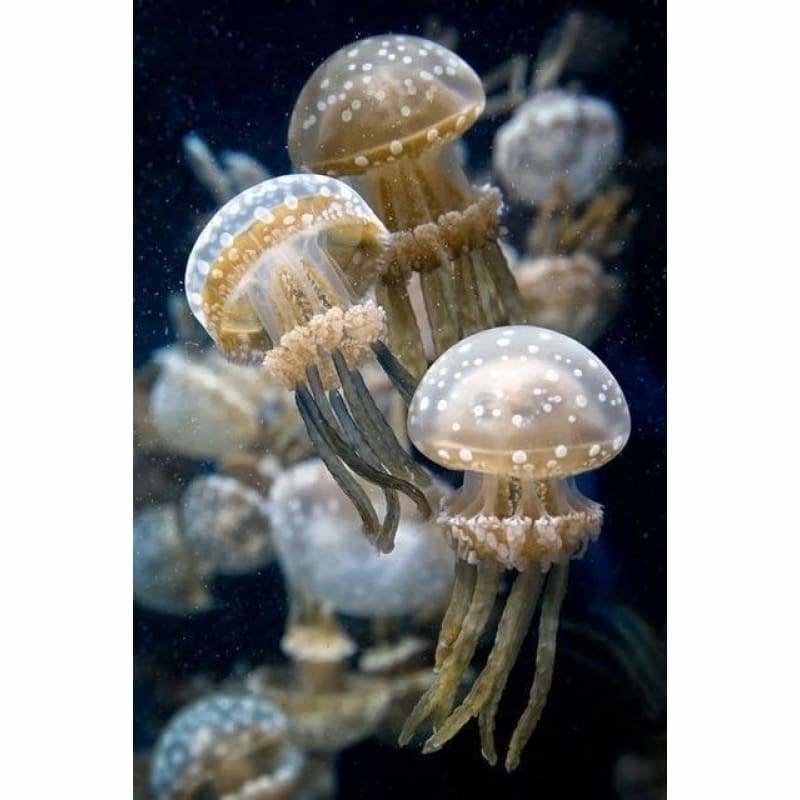 Jellyfish Full Drill - 5D DIY Embroidery Diamond Painting