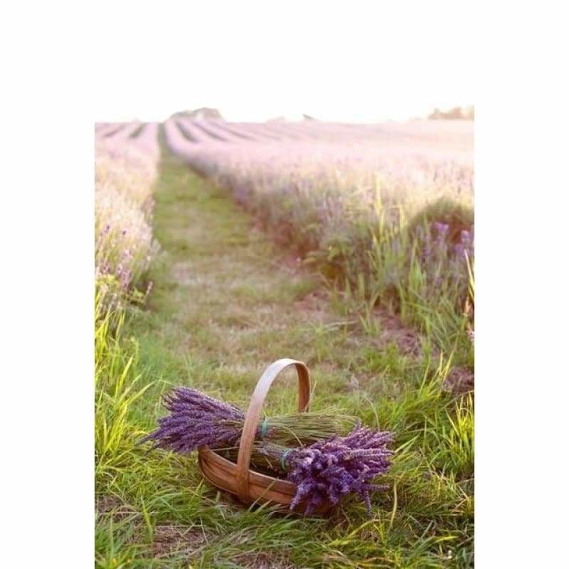 Lavender Fields Full Drill - 5D Diy Diamond Painting Kits