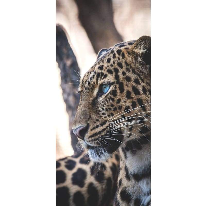 Leopard 04- Full Drill Diamond Painting - Special Order -
