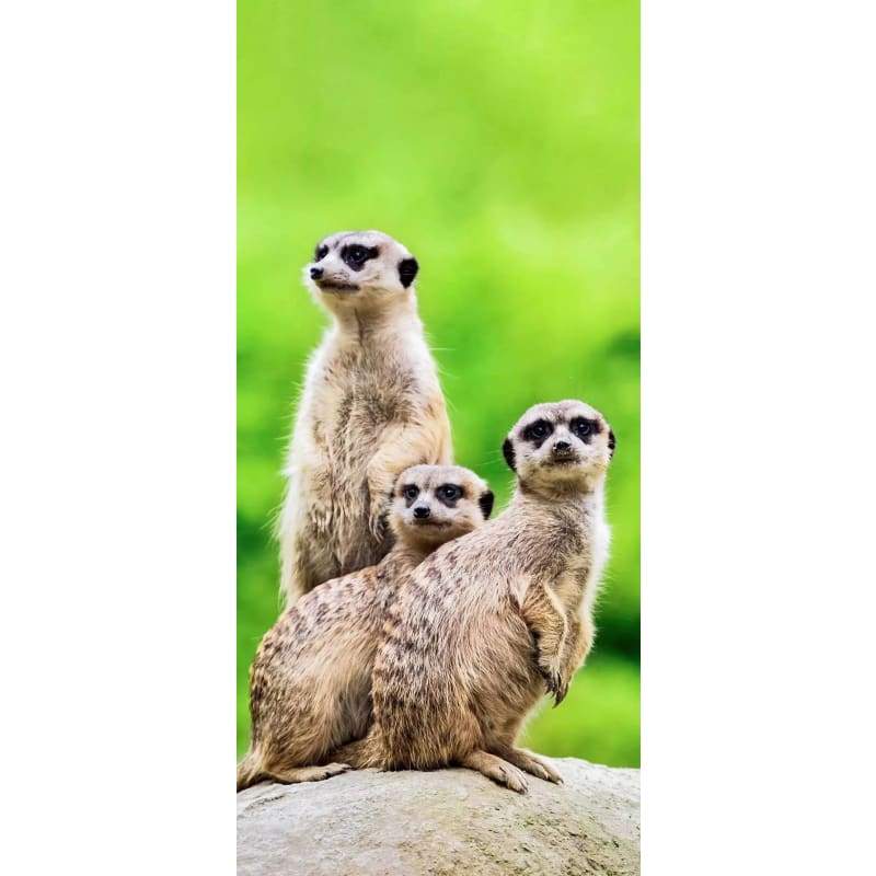 Meerkats 01- Full Drill Diamond Painting - Special Order -