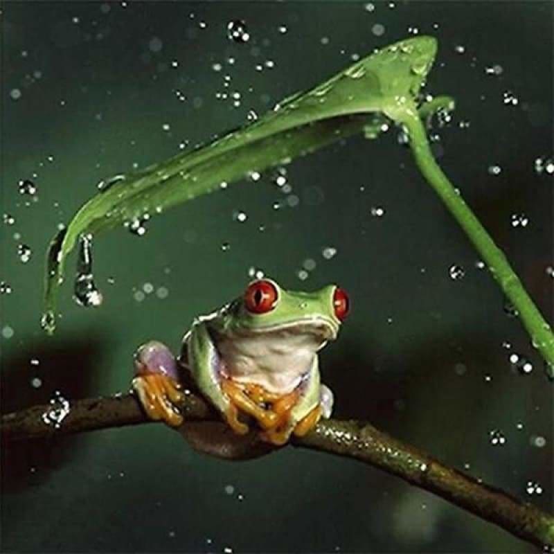 Modern Art Frog Full Drill - 5D Diy Diamond Painting Kits
