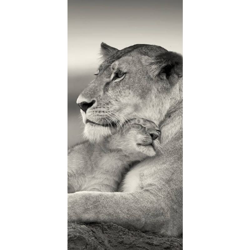 Mum And Baby Tiger 01 - Full Drill Diamond Painting -