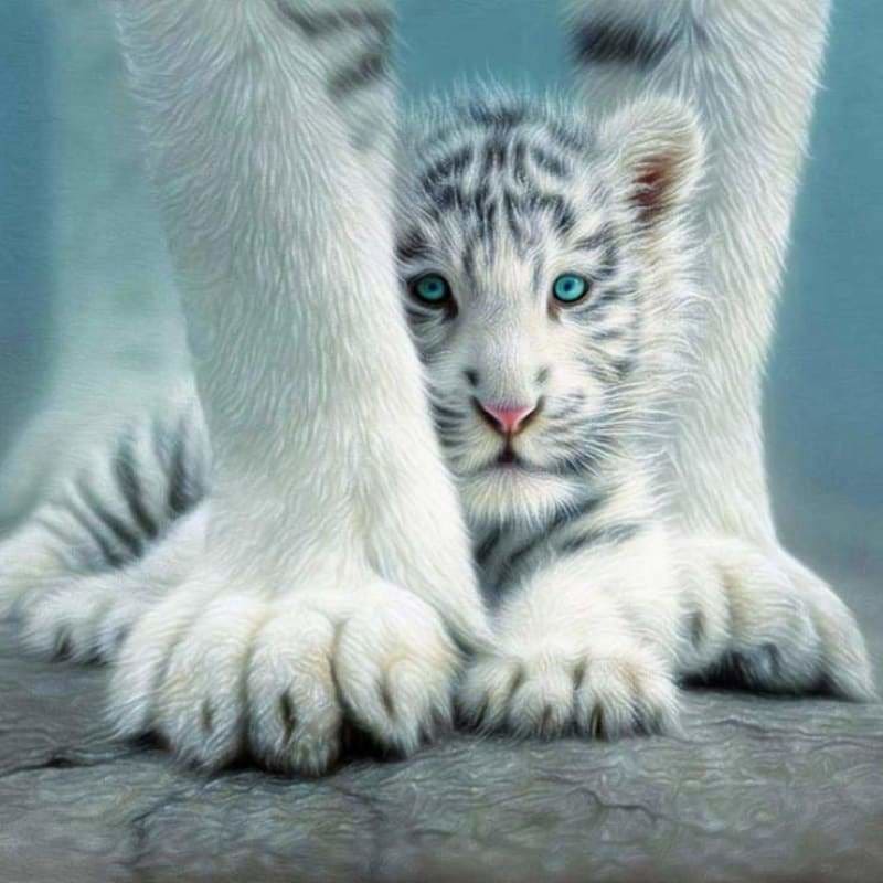New Dream Tiger Full Drill - 5D Diy Diamond Painting Kits