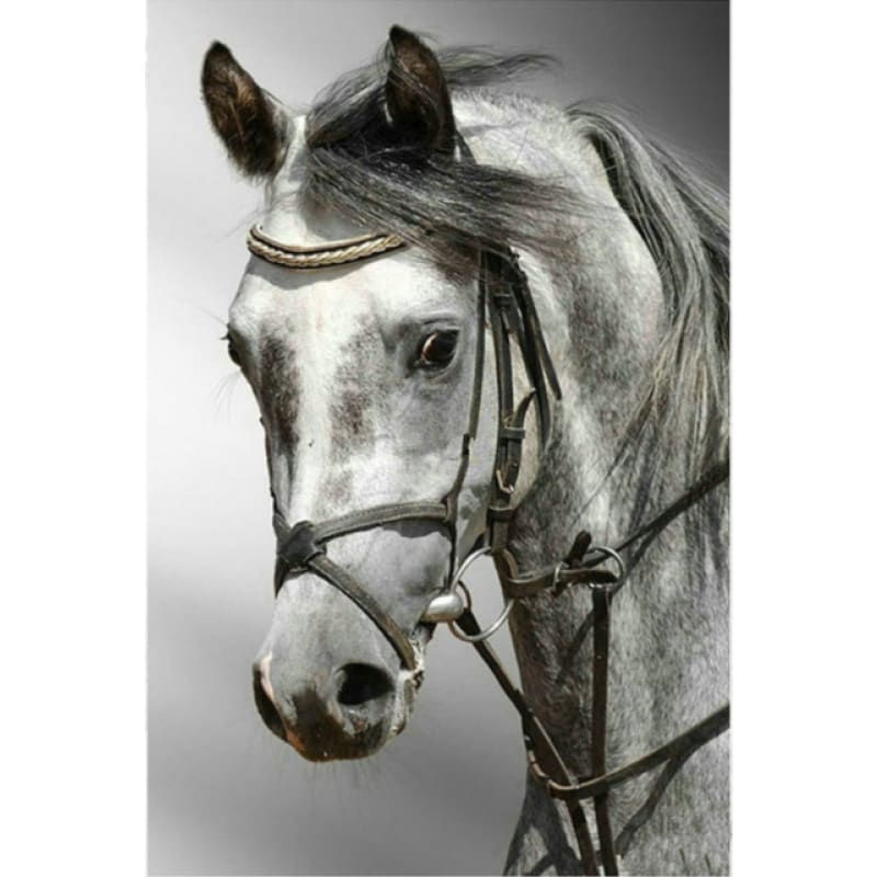 New Hot Sale Horse Picture Full Drill - 5D Diy Diamond