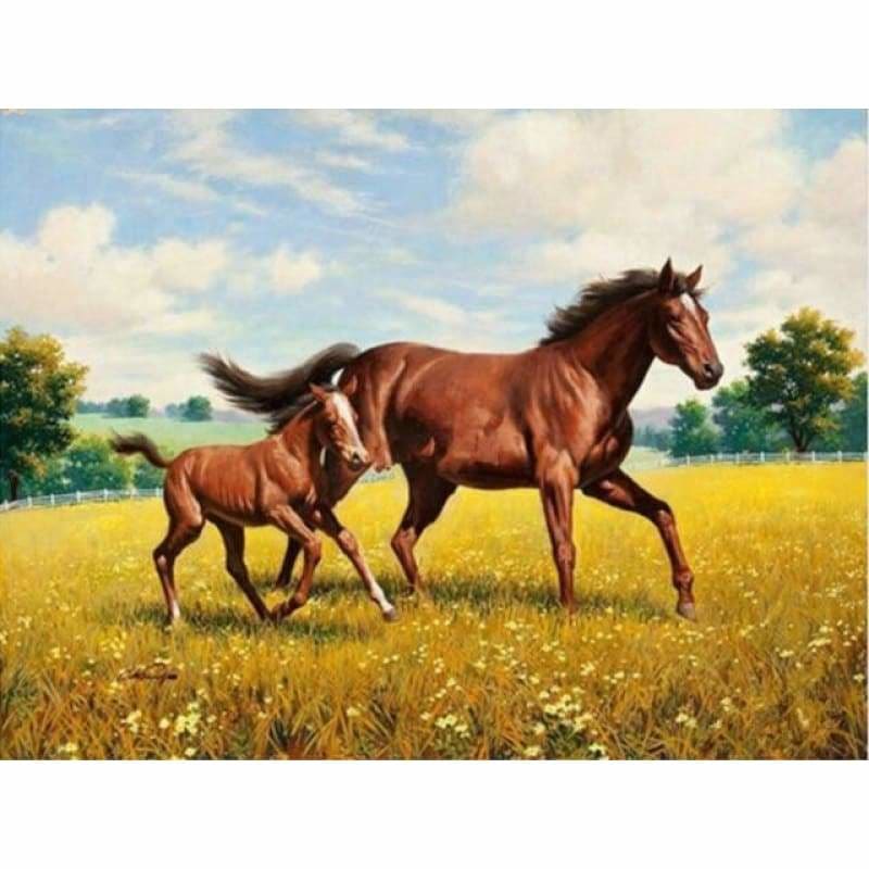 New Hot Sale Horse Picture Full Drill - 5D Diy Diamond