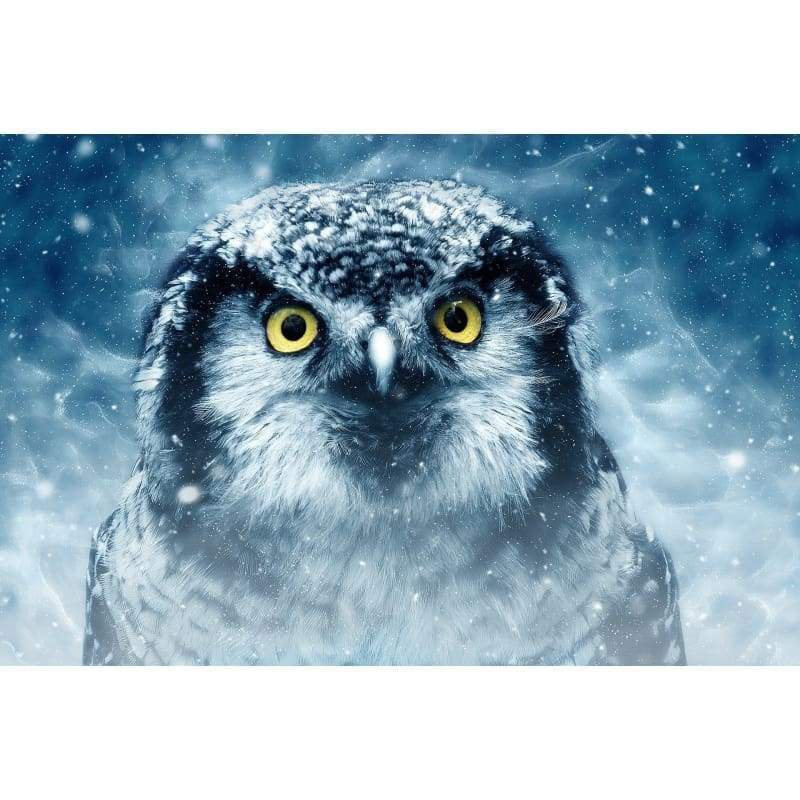 Owl in Snow- Full Drill Diamond Painting - Special Order -