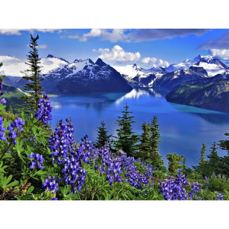 Sky and White Clouds