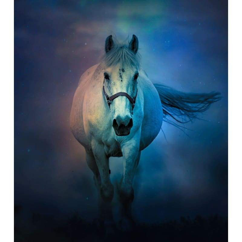 White Horse Alone - Full Drill Diamond Painting - Special